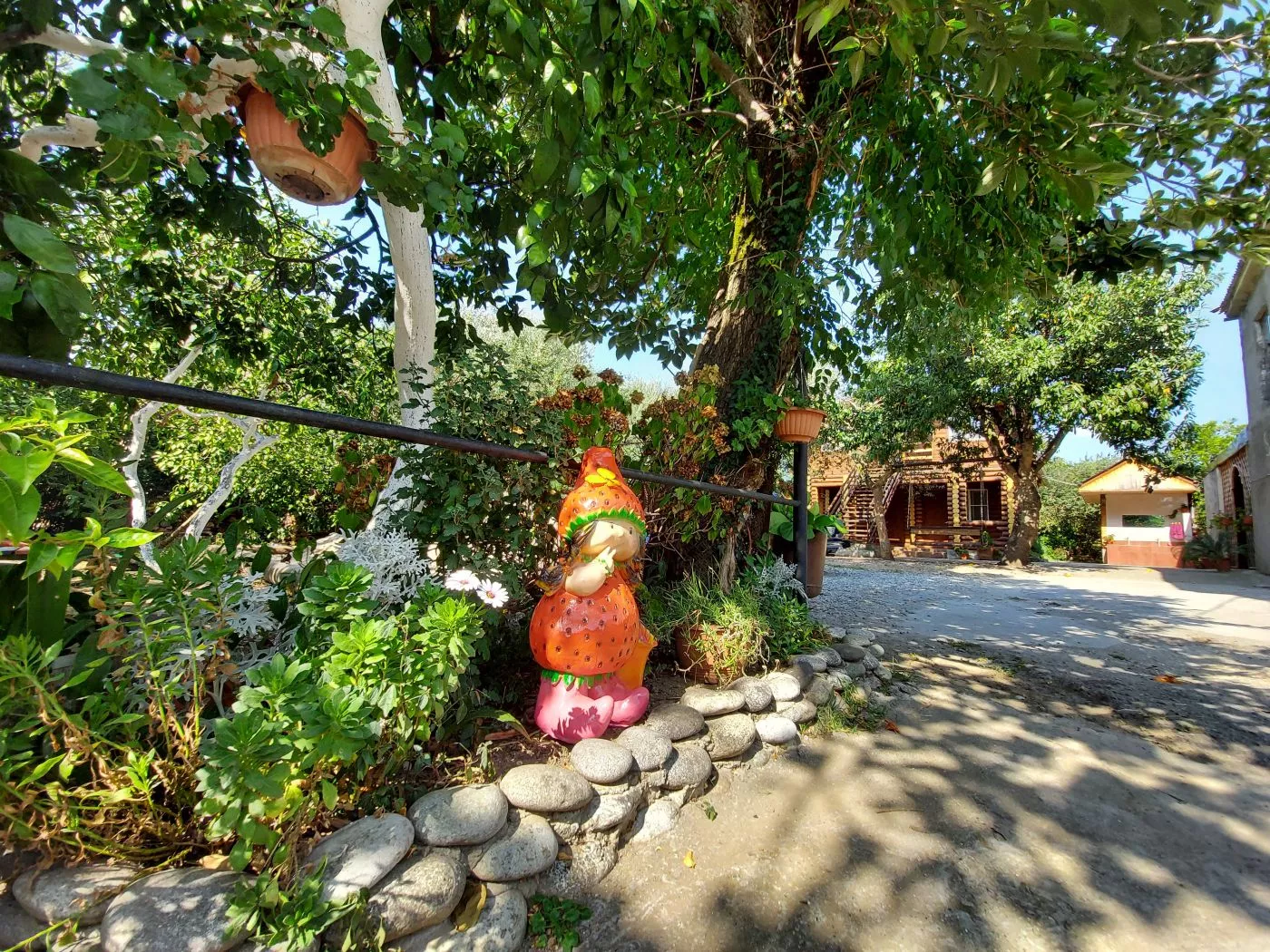 . Гостевой дом КАМЕЛИЯ. Пицунда