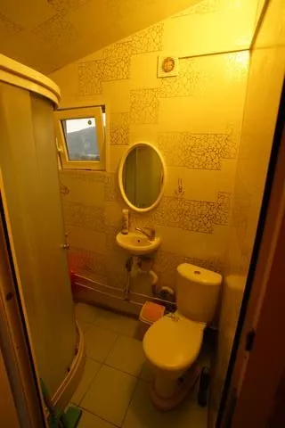 Мансардный этаж (Пентхаус). Гостевой дом «Алла-Роза». Архипо-Осиповка