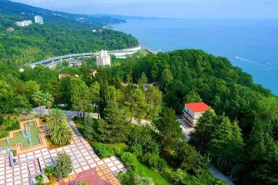 . Санаторий Зеленая роща. Хоста