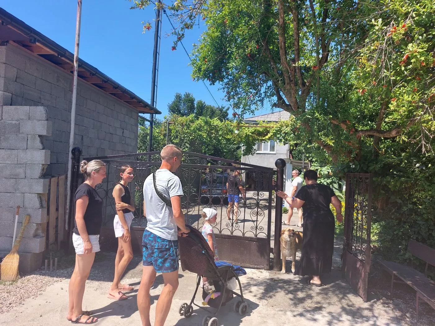 . Гостевой дом КАМЕЛИЯ. Пицунда