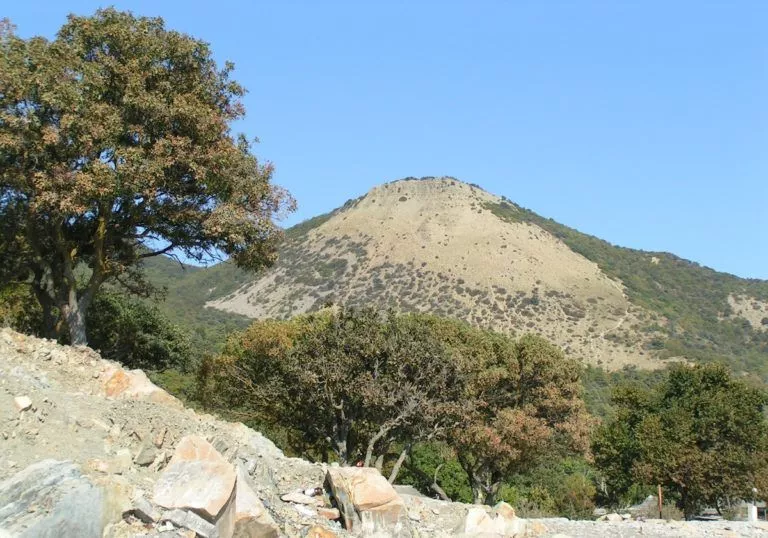 Гора Лысая. Фото взято с сайта: https://gulaytour.ru/