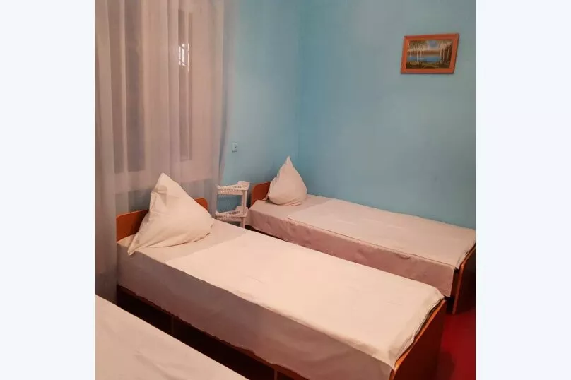 2,3-х местный «Эконом». Гостевой дом Олеандр. Гагра