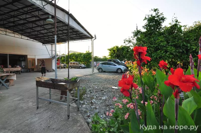 . Частный сектор «У Ануш». Пицунда