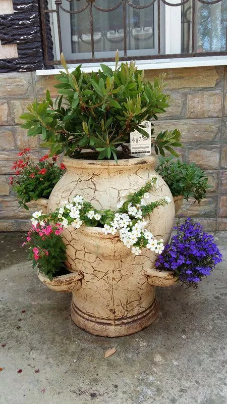 . Гостевой дом "Солнечная дача". Агой