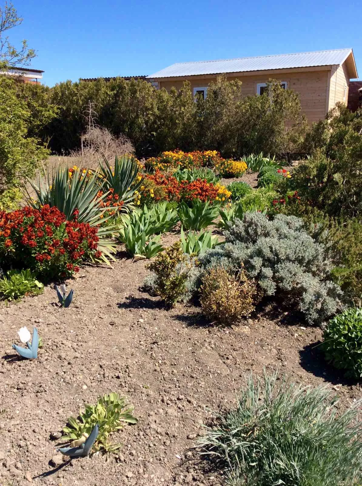 . Дом под ключ У моря и озера Чокрак . Крым - частный сектор