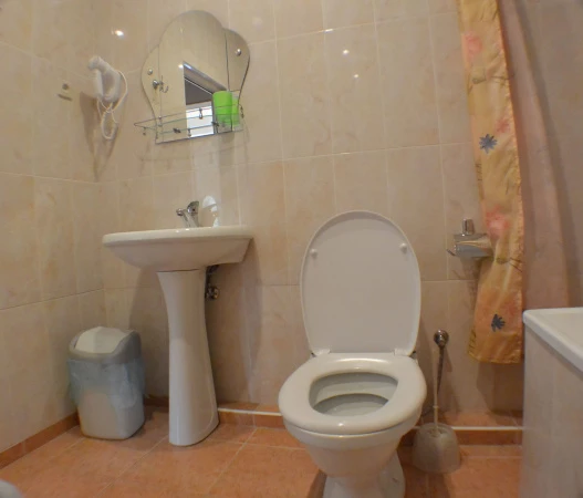 . Гостиница "Крокус" . Адлер