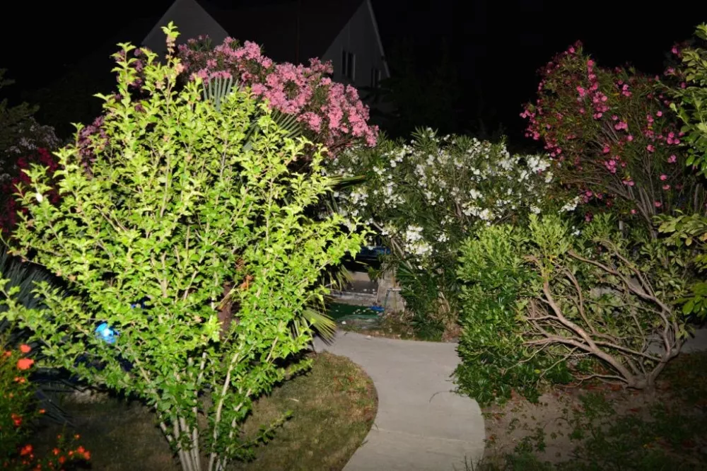 . Гостевой дом "Green House". Вишневка . Гостевой дом "Green House". Вишневка