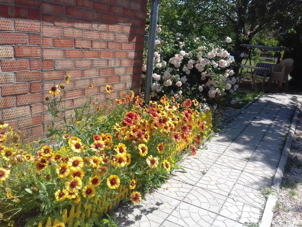 . Гостевой дом "Вероника" - Должанская. Должанская