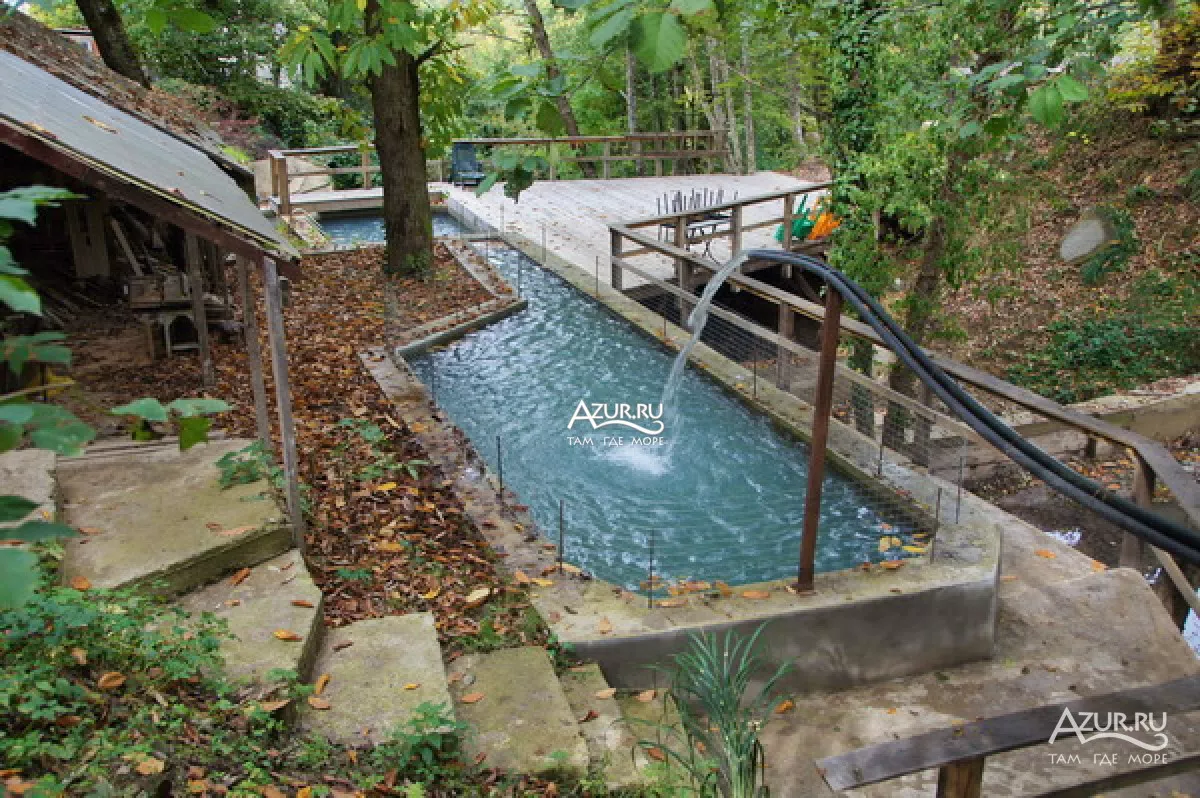 . База отдыха "Алексеевка". Лазаревское