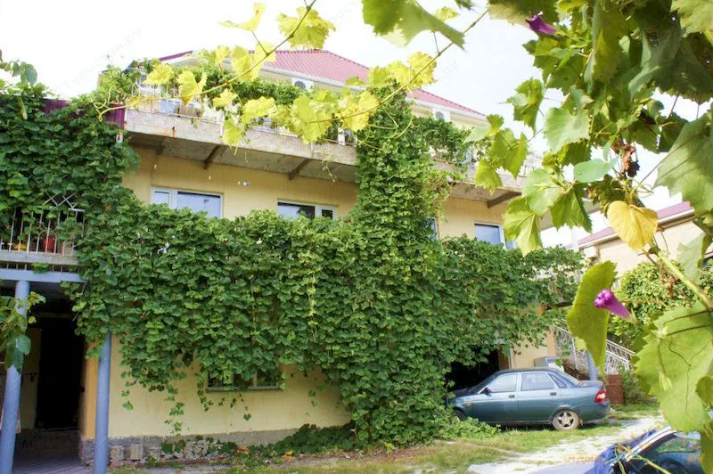 . Гостевой дом "Людмила" - Архипо-Осиповка. Архипо-Осиповка . Гостевой дом "Людмила" - Архипо-Осиповка. Архипо-Осиповка