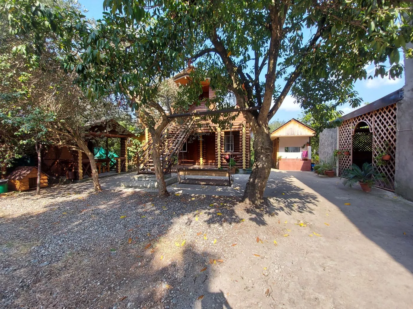 . Гостевой дом КАМЕЛИЯ. Пицунда