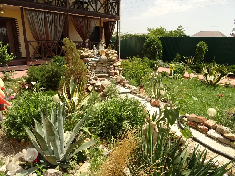 . Гостевой дом "Жемчужина" - Должанская. Должанская