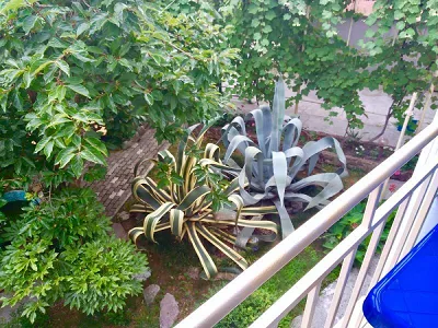 . Частный сектор Экзотика. Лоо