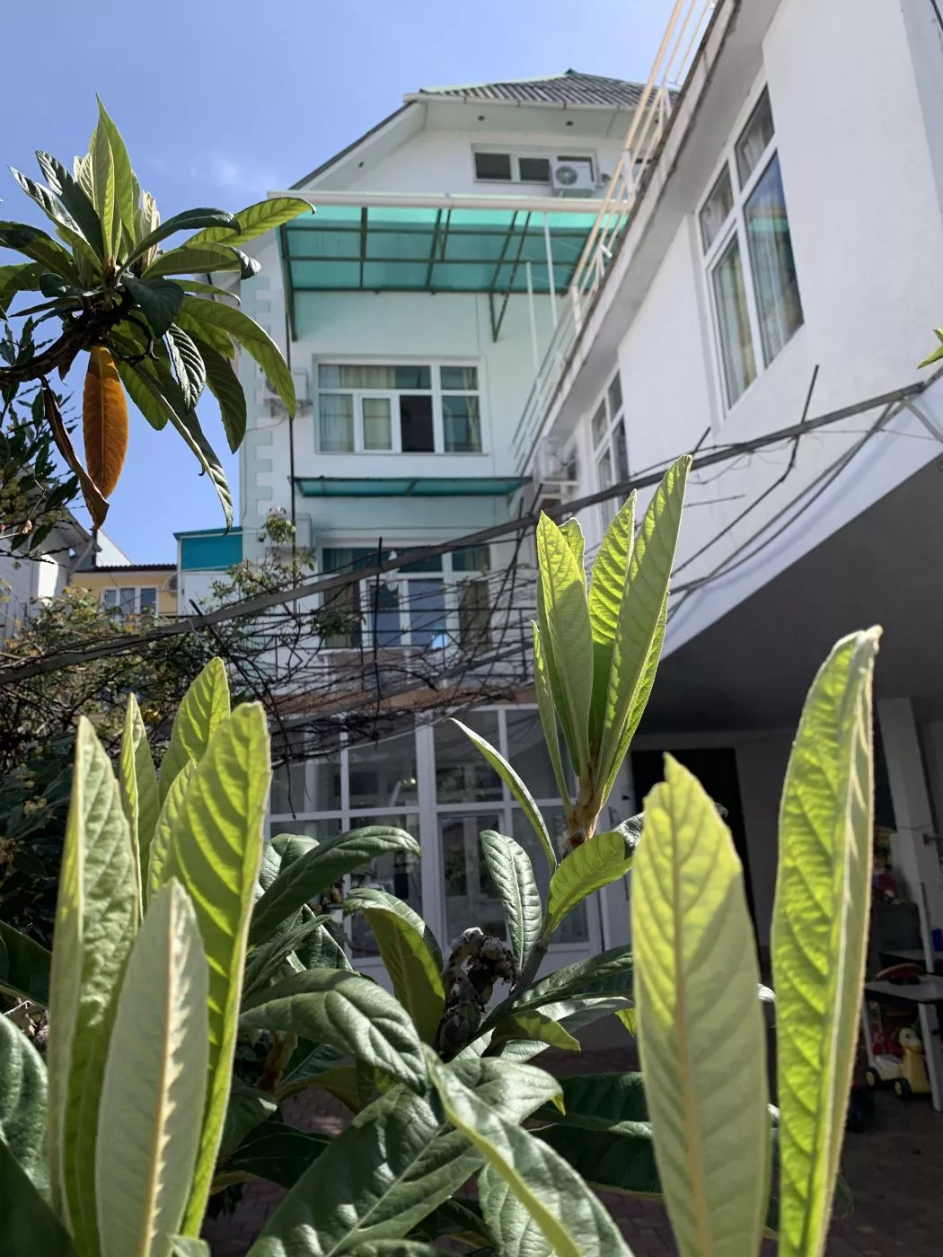 . Гостевой дом Жанетт". Адлер