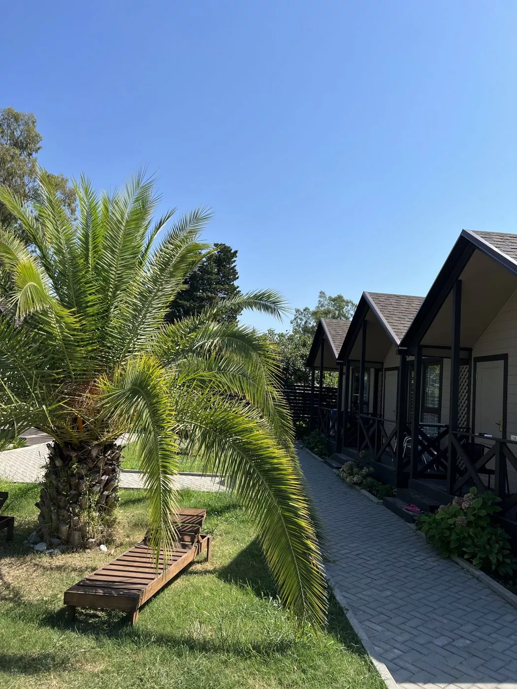 . Гостевой комплекс Шезлонг . Гудаута