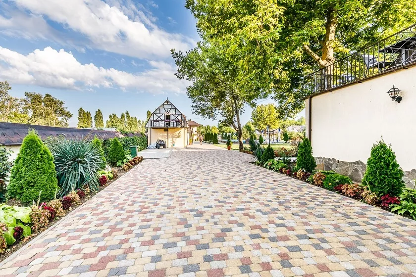 . База отдыха "Тюльпан". Витязево