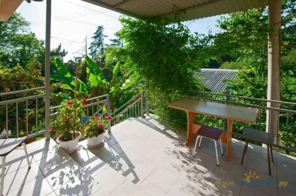 . Частный сектор "Аэлита". Адлер . Частный сектор "Аэлита". Адлер