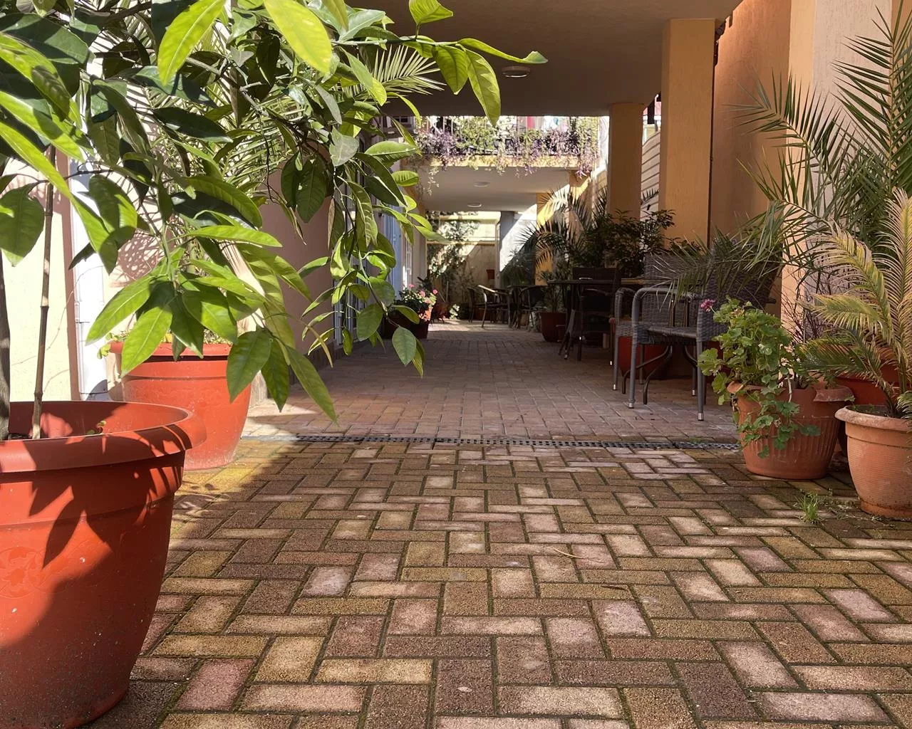 . Гостевой дом "Нэва". Адлер