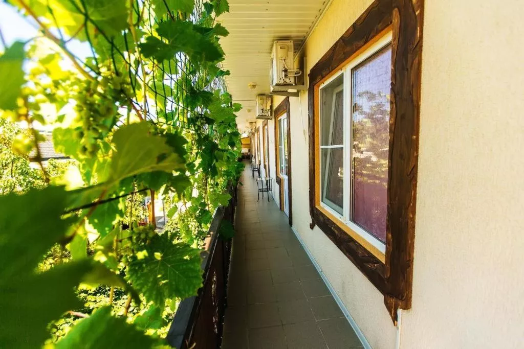 . Гостевой дом Связь Времён. Кабардинка