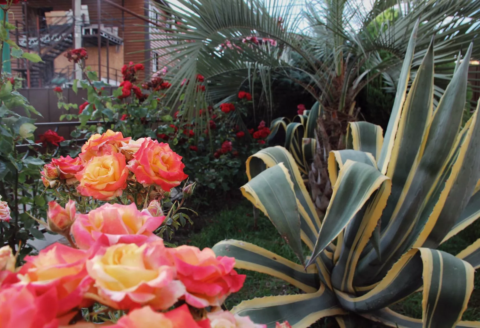 . Апарт-отель “Planeta MOV”. Адлер