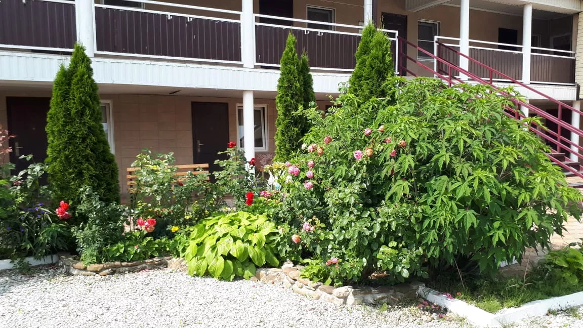 . Гостевой дом "Татьяна". Джубга