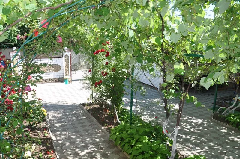 . Гостевой дом "Семейный отдых" - Витязево. Витязево