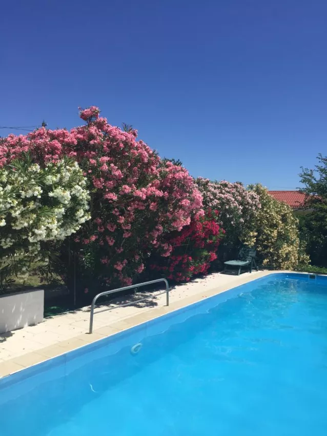 . Гостевой дом "Green House". Вишневка . Гостевой дом "Green House". Вишневка