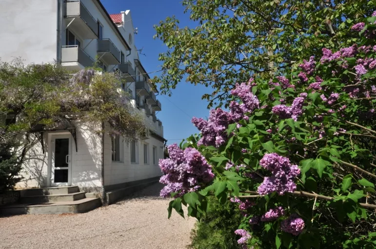 . Гостевой дом «Афалина». Севастополь