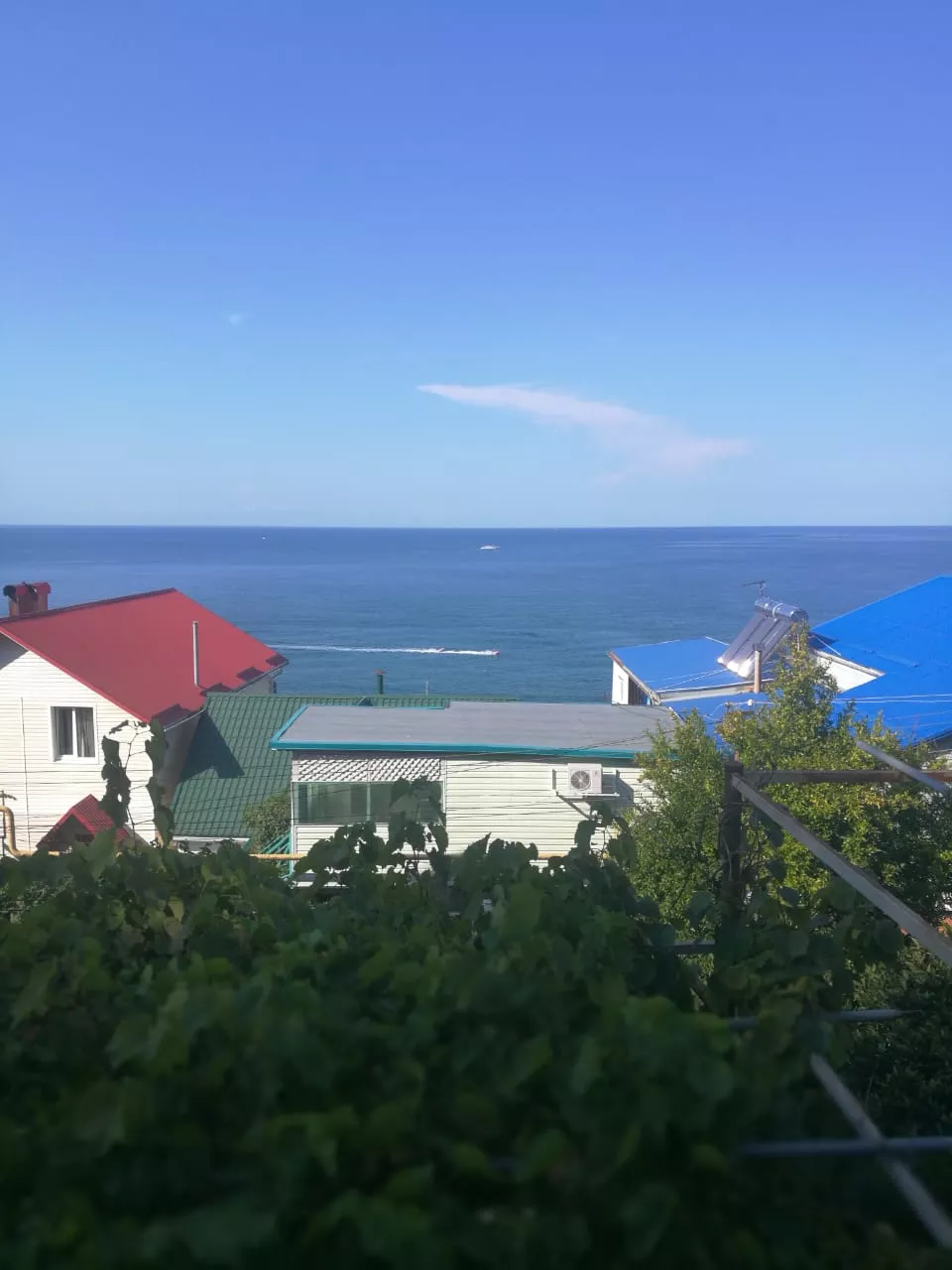 . Гостевой дом《Сосновый бор》. Лазаревское