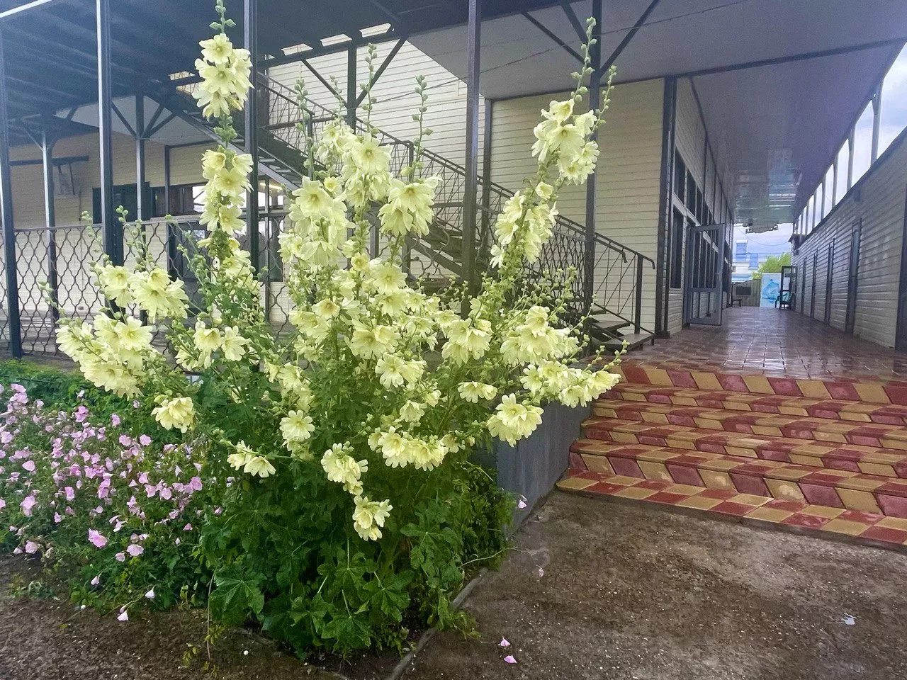 База отдыха 