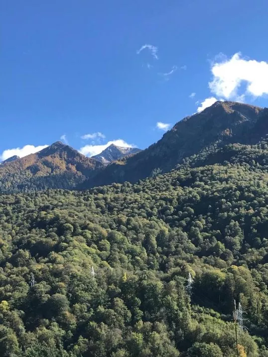 . Апартаменты VertoDom. Красная Поляна