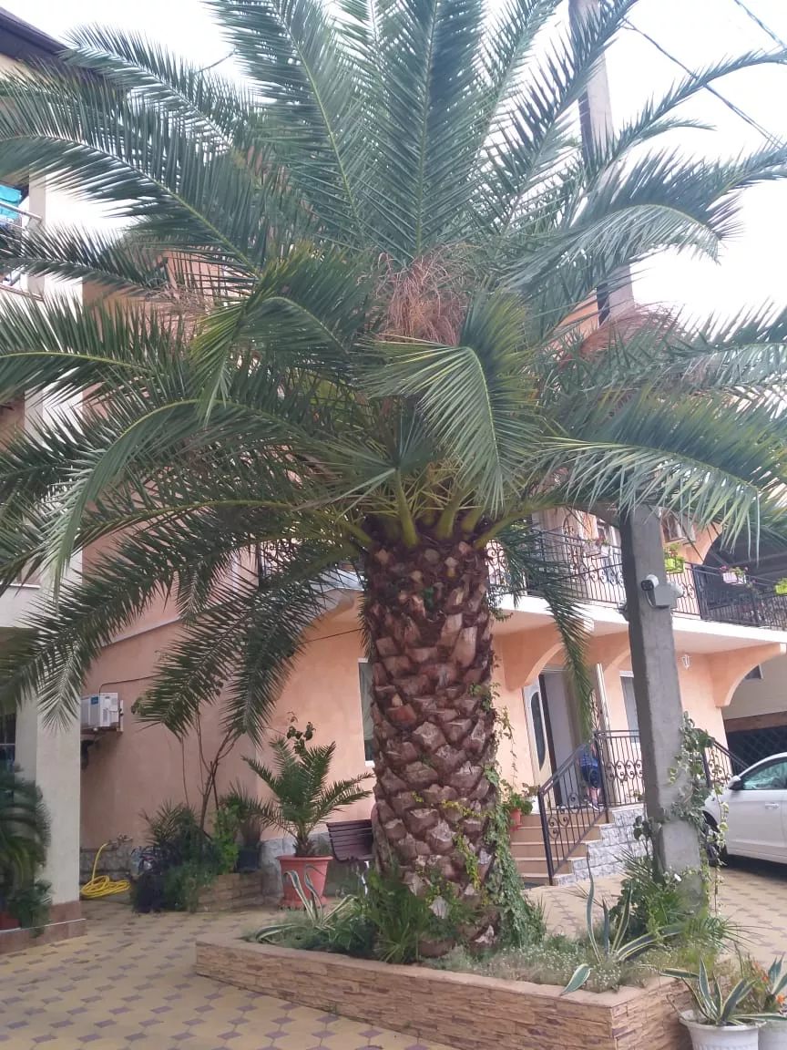 . Гостевой дом «на Таллинской». Лоо . Гостевой дом «на Таллинской». Лоо