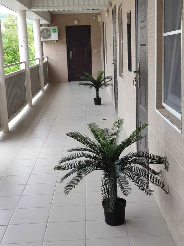 . Гостевой дом "Татьяна". Джубга