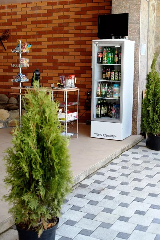 . "Стрекоза". Сукко