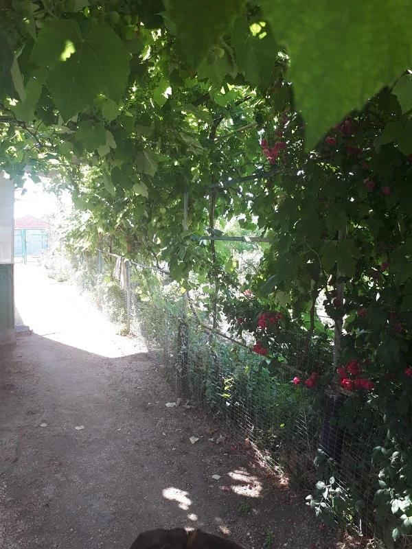 . Гостевой дом "Сокол". Должанская