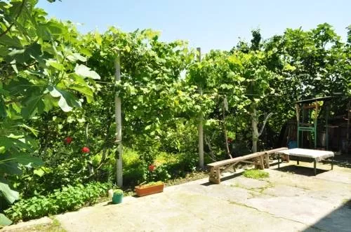 . Частный сектор Изабелла Вишневка. Вишневка