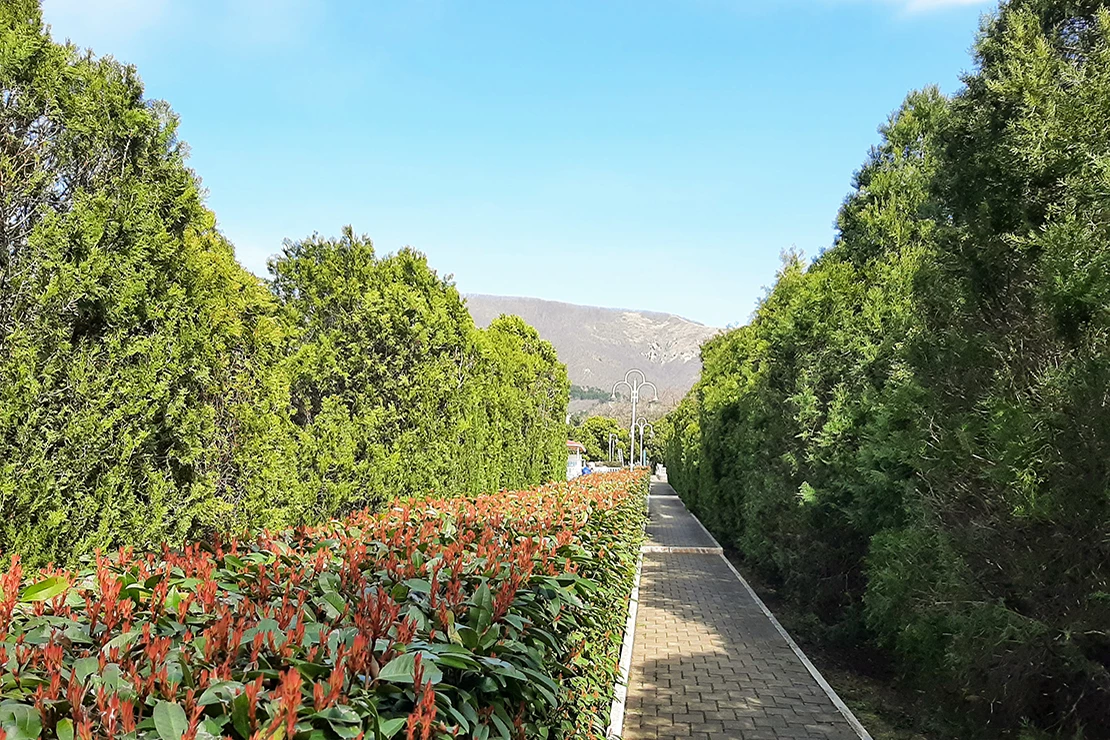 . Пансионат «Кавказ»★★★. Геленджик