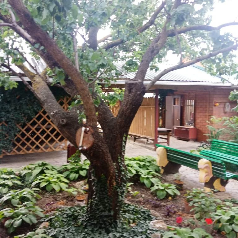 . Частный сектор Привокзальная 35 в Сенном. Сенной