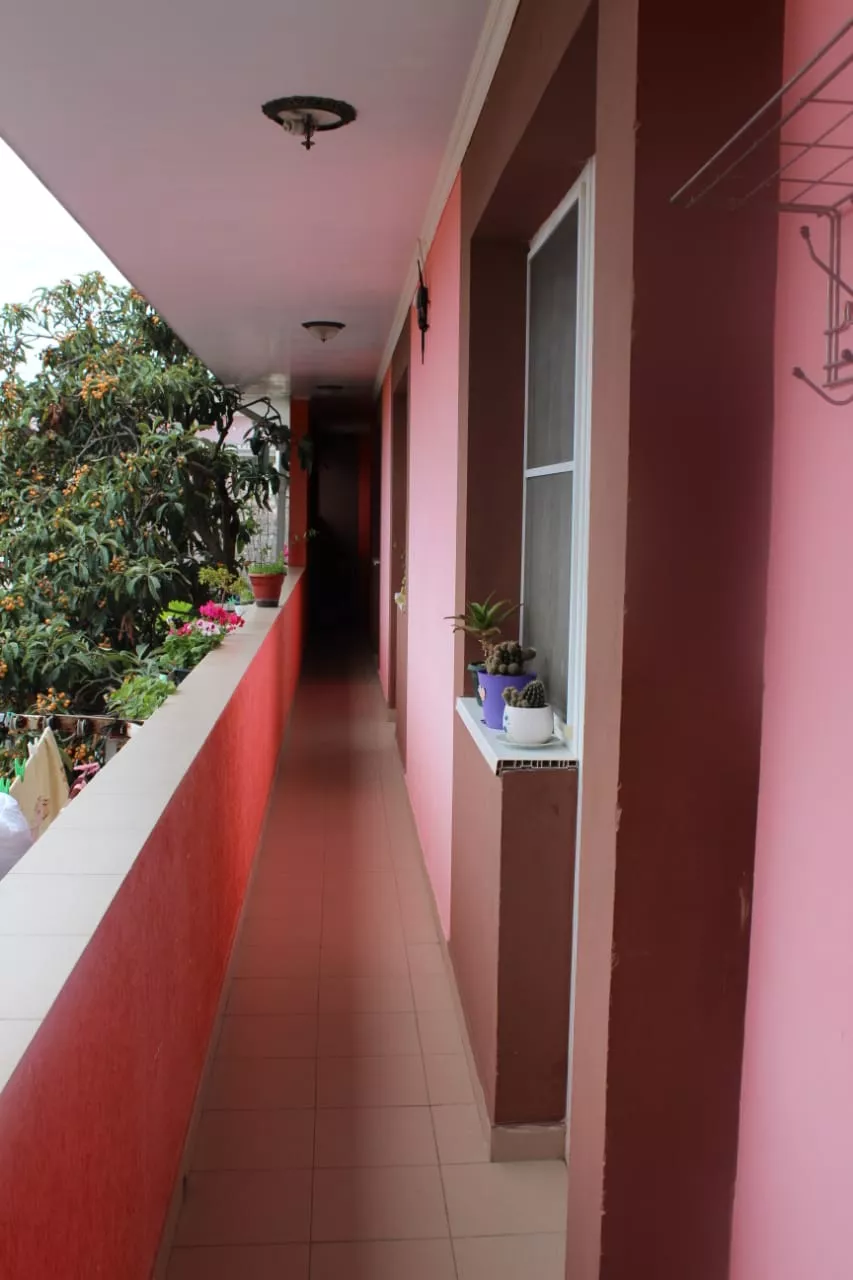 . Гостевой дом Золотая бухта. Адлер