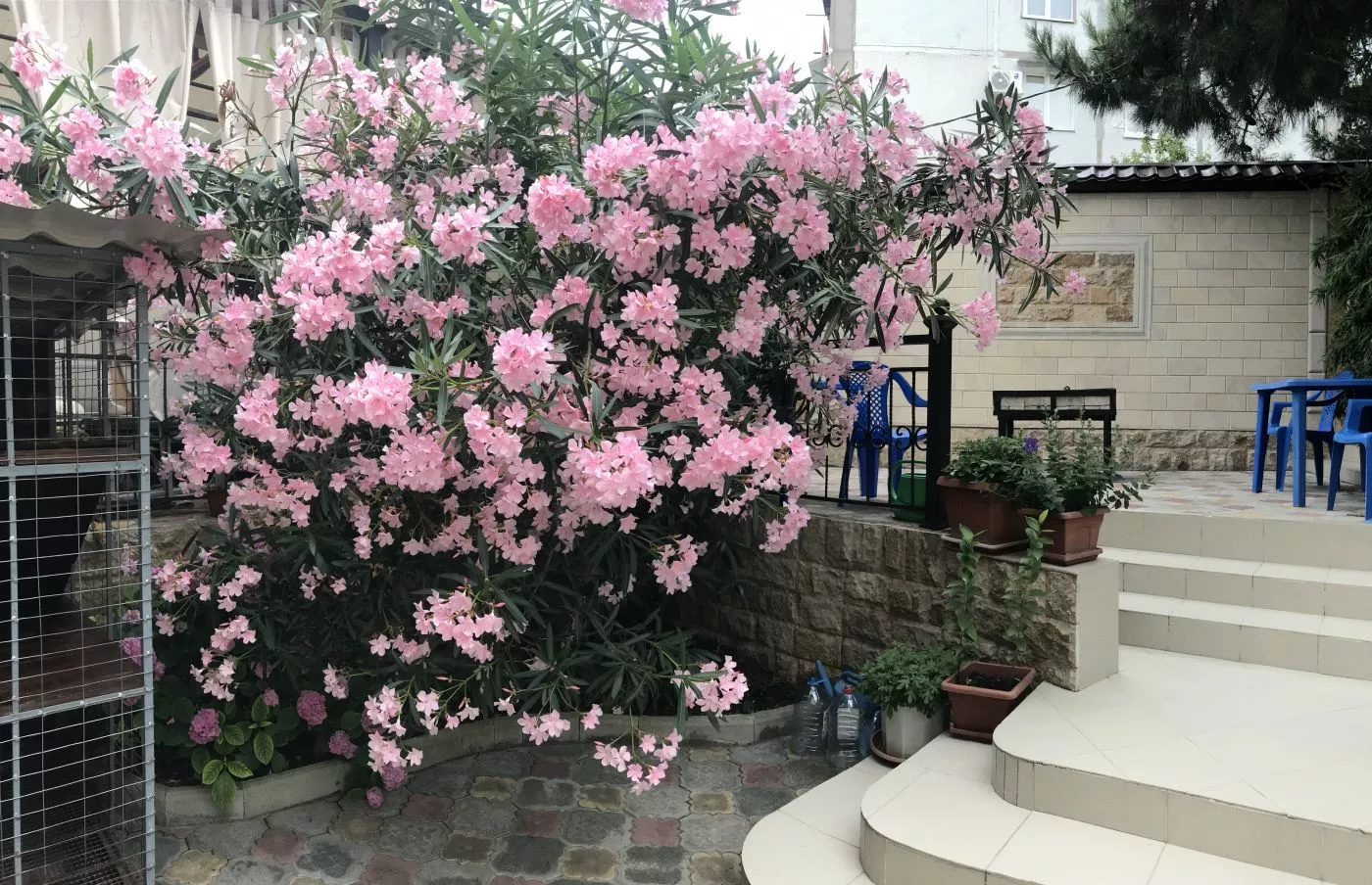 . Гостевой дом "Виктория". Лазаревское