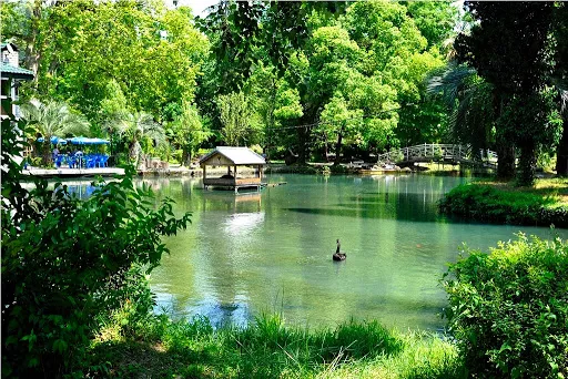 Приморский парк. Фото взято с сайта: http://vavilondom.ru/