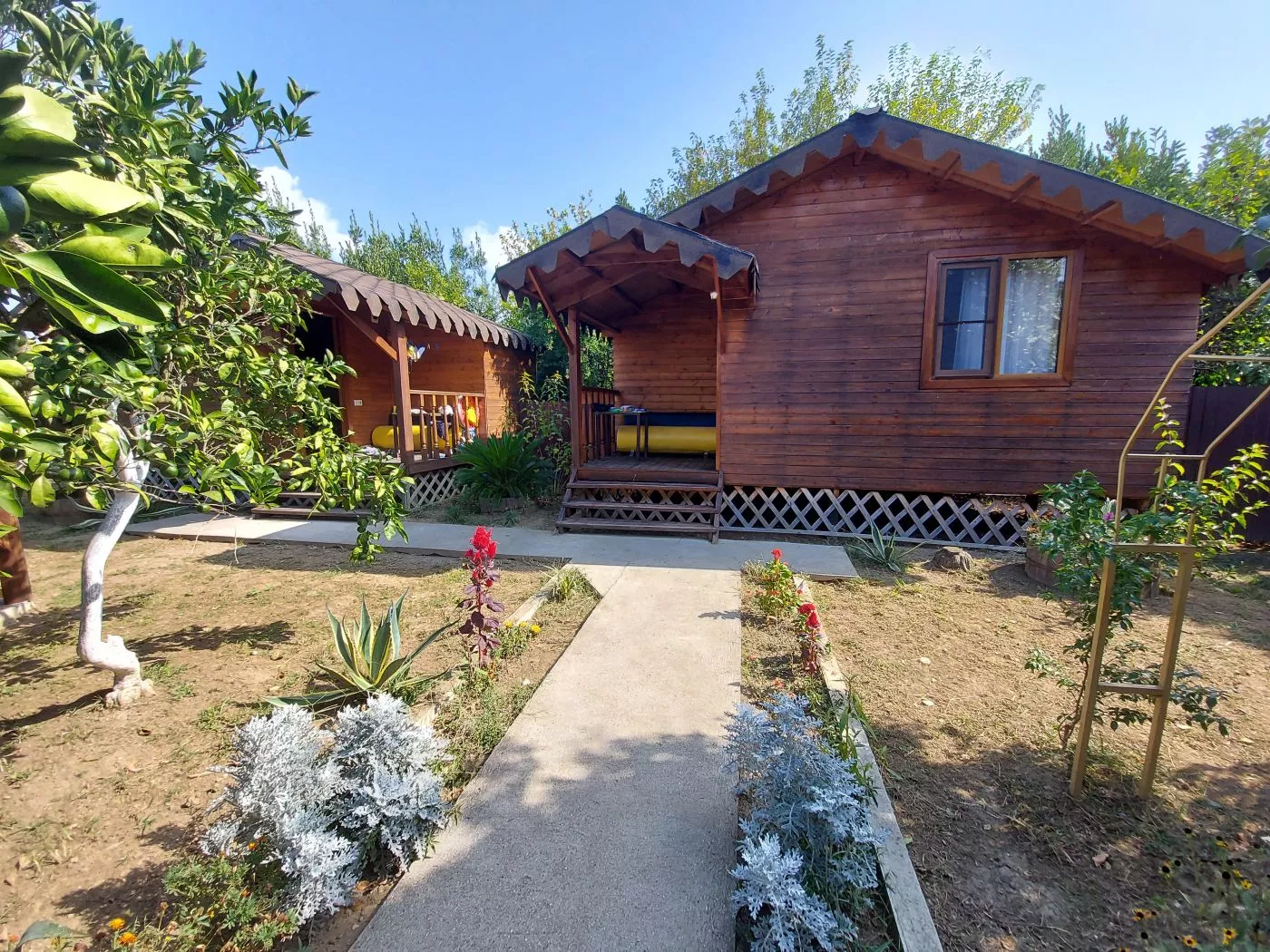 . Гостевой дом КАМЕЛИЯ. Пицунда