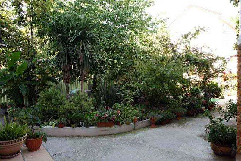 . Частный сектор «Владислав». Сочи