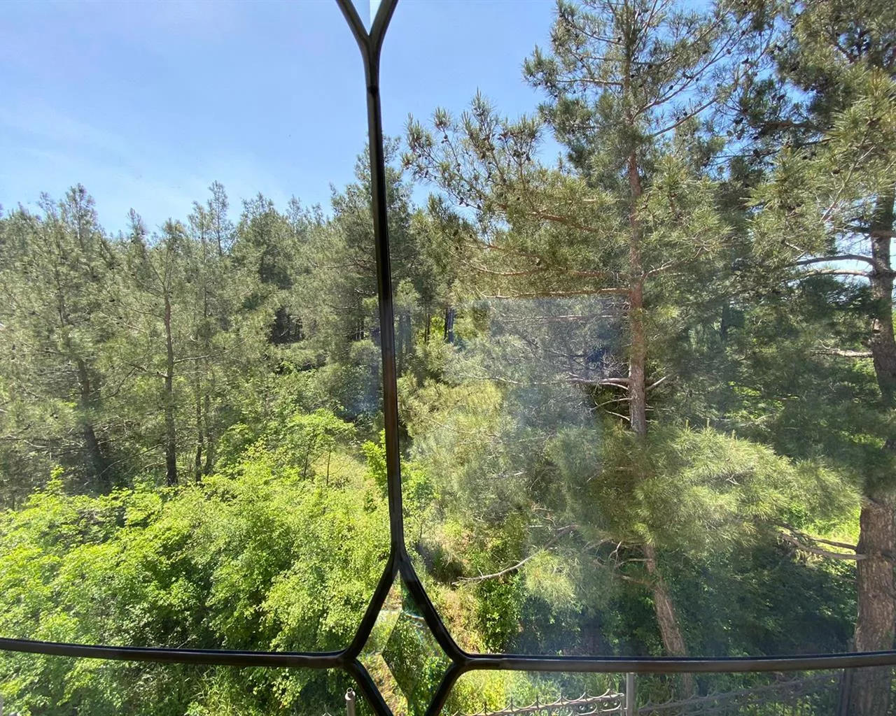 . Дом в Кедровой роще. Кабардинка