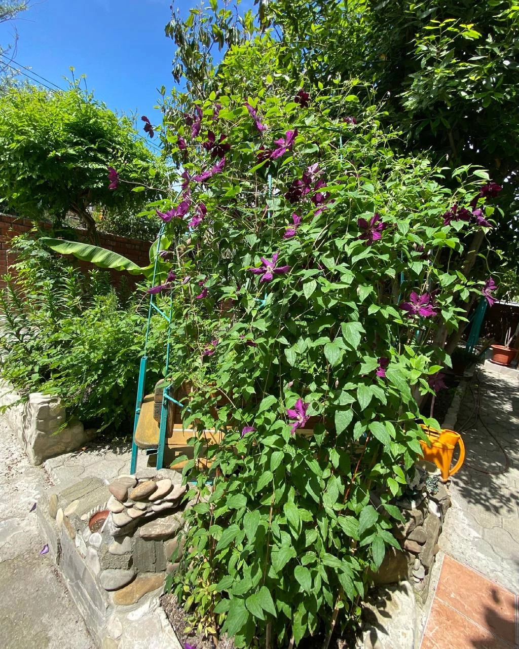 . Гостевой дом "Инжир". Новомихайловский