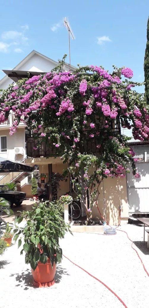 . Гостевой дом Граир. Адлер