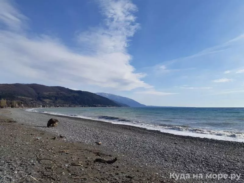 . Гостевой дом Лиза. Цандрипш