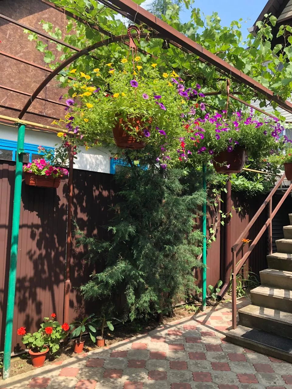 . Частный сектор "Адениум". Лазаревское