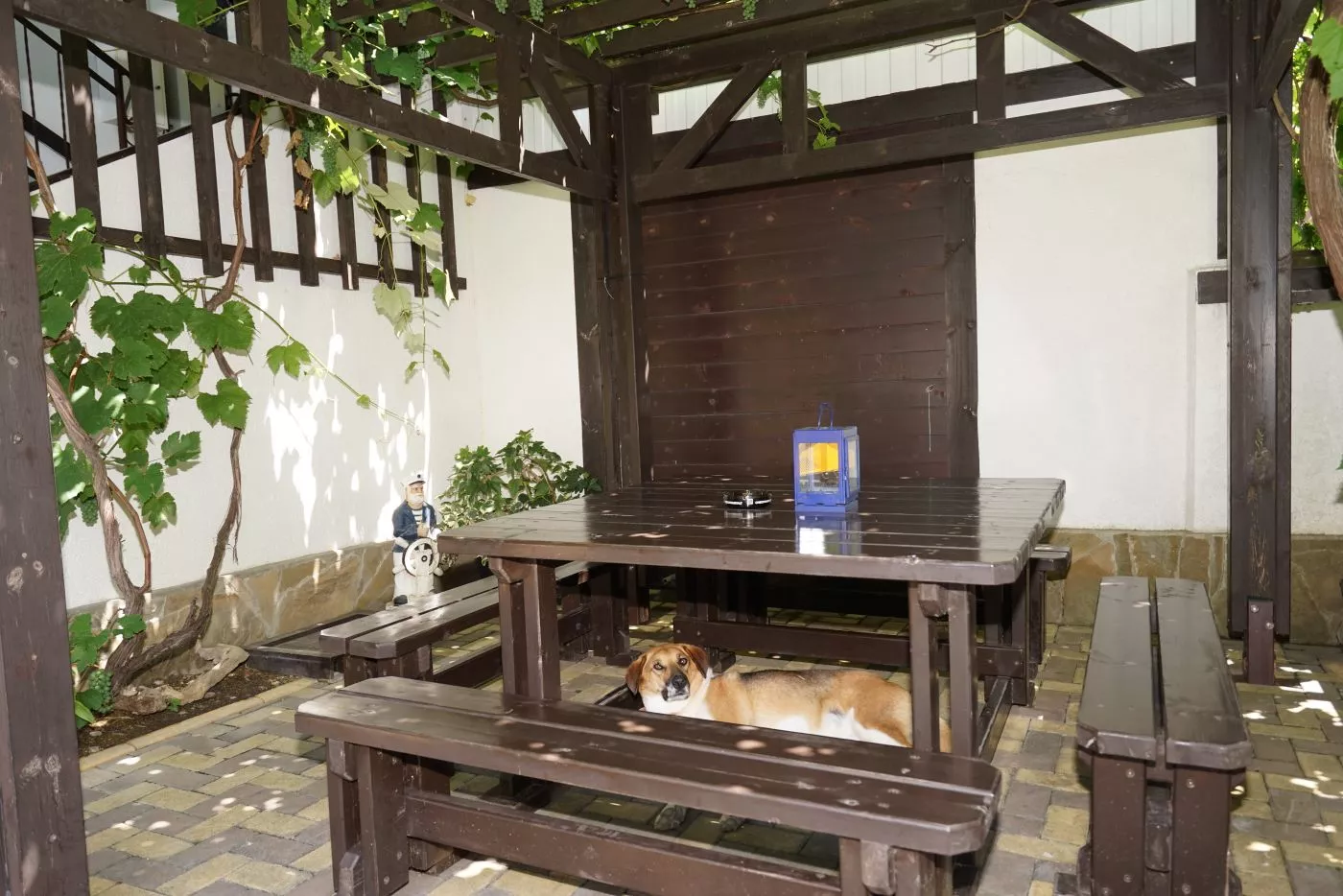 . Гостиница "Постоялый Двор Виноград". Лермонтово