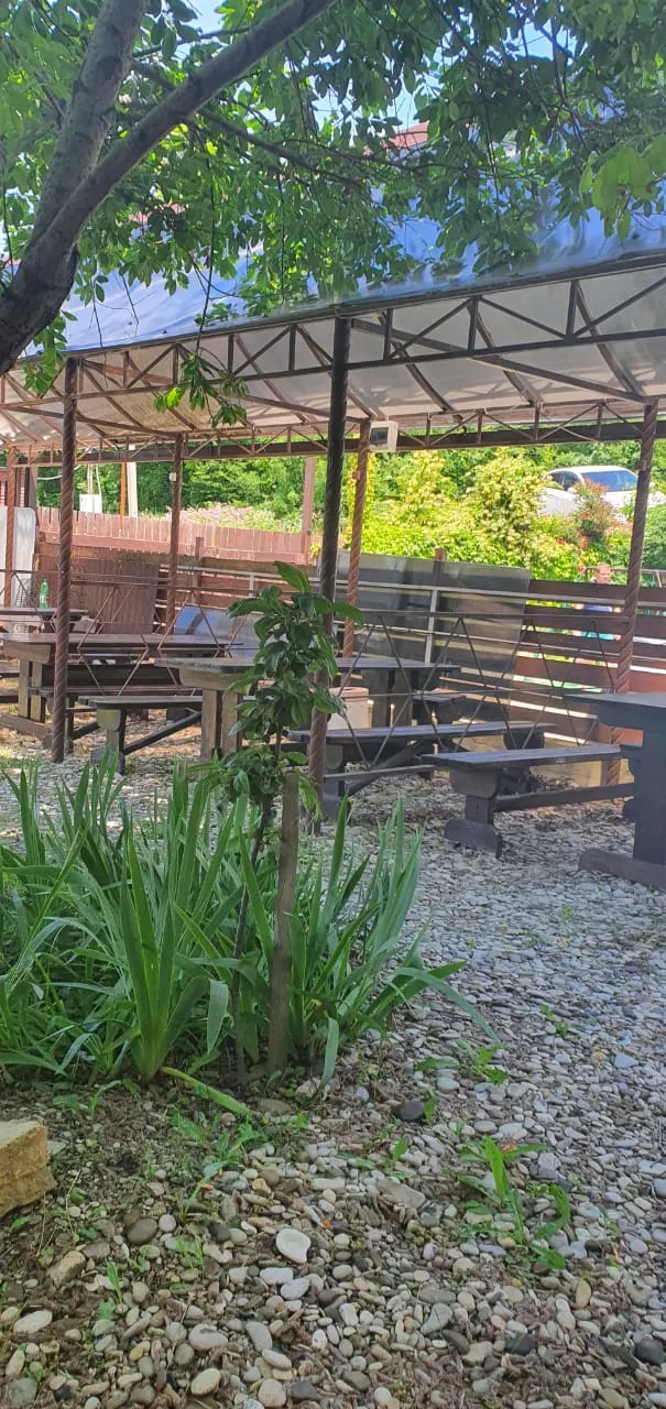 . Гостевой дом Дельфин - Новомихайловский. Новомихайловский . Гостевой дом Дельфин - Новомихайловский. Новомихайловский